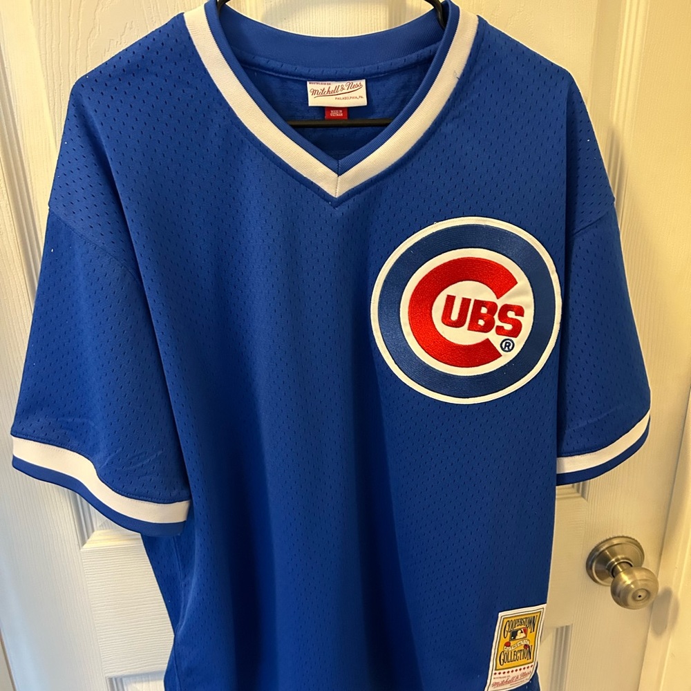 Cubs Andre Dawson - Mitchell and Ness Jersey